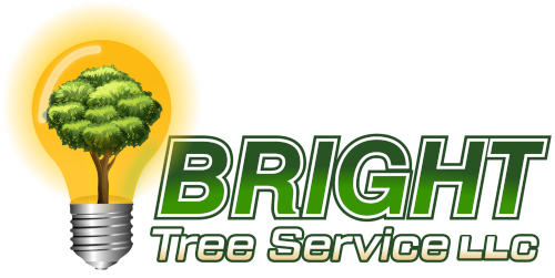 Bright Tree Service